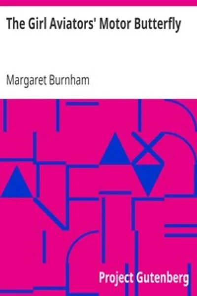Обложка книги "Моторный бабочка девушек-авиаторов"