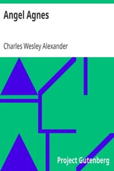 Обложка книги "Ангел Агнес: Героиня жёлтой лихорадки в Шривпорте"