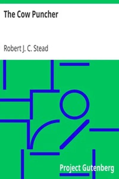 Обложка книги "Ковбой-боец"