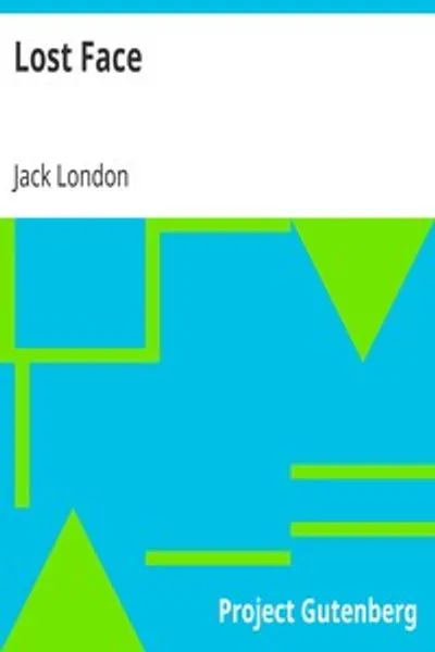 Обложка книги "Потерянное лицо"