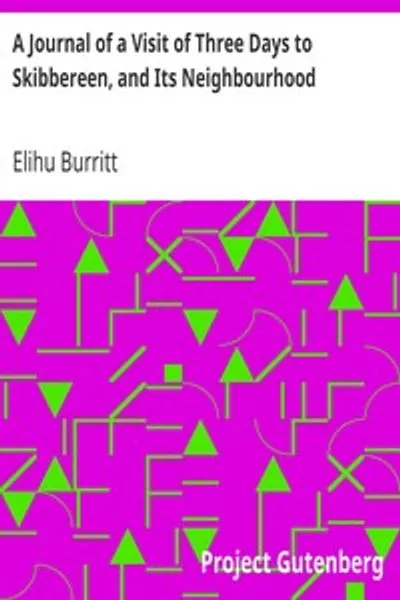 Обложка книги "Дневник трёхдневного визита в Скибберин и его окрестности"