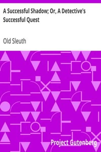 Обложка книги "Успешная тень; Или, Успешный поиск детектива"