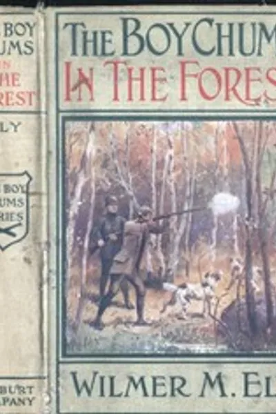 Обложка книги "Мальчишки-друзья в лесу; или Охота на птиц-попугаев в Флоридских Эверглейдс"