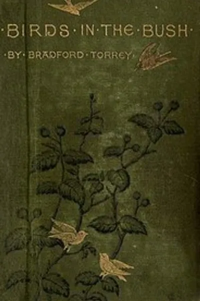 Обложка книги "Птицы в кустах"