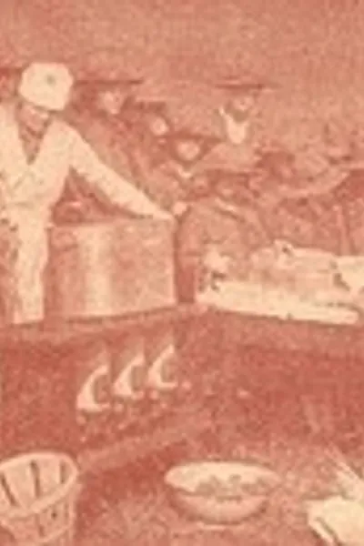 Обложка книги "Девочки-скауты: Их история и практика"