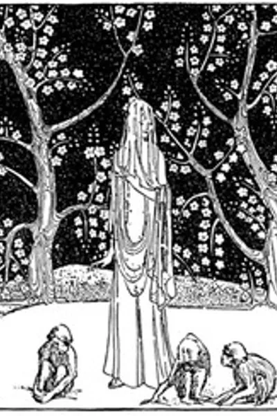 Обложка книги "Три муллы-мулгара"