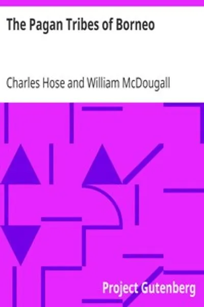Обложка книги "Языческие племена Борнео: Описание их физического, морального и интеллектуального состояния, с некоторыми обсуждениями их этнических отношений"