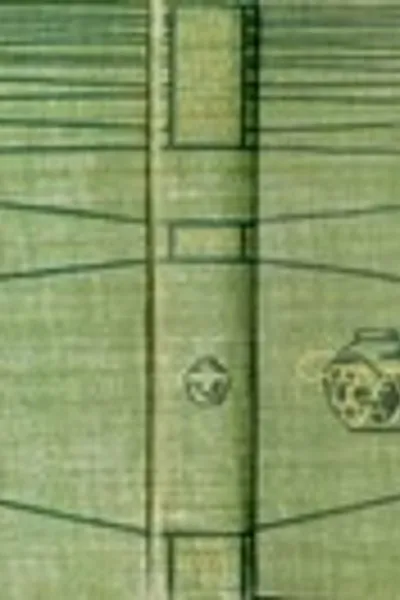 Обложка книги "Выброшенные на берег миссис Лекс и миссис Алешин"