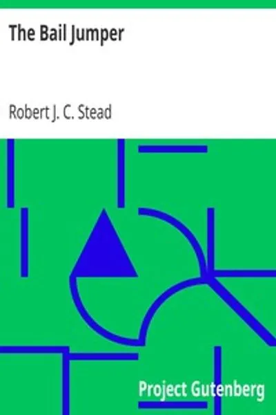 Обложка книги "Беглец из-под залога"