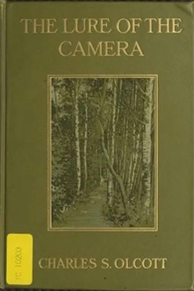 Обложка книги "Привлекательность фотографии"