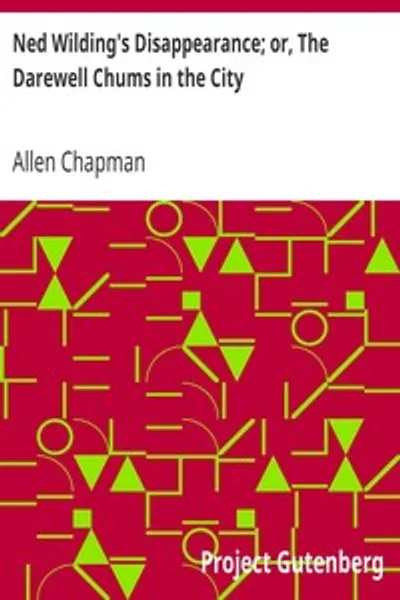 Обложка книги "Исчезновение Неда Уайлдинга; или, Друзья из Дэрвелла в городе"