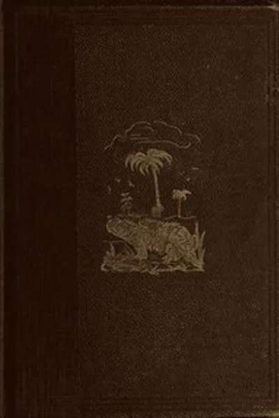 Обложка книги "Мир до потопа"