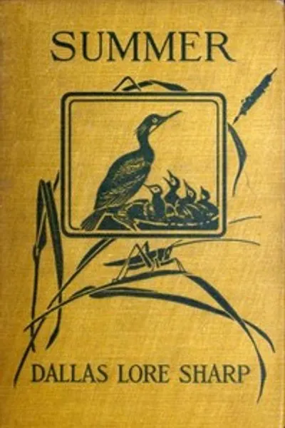 Обложка книги "Лето"
