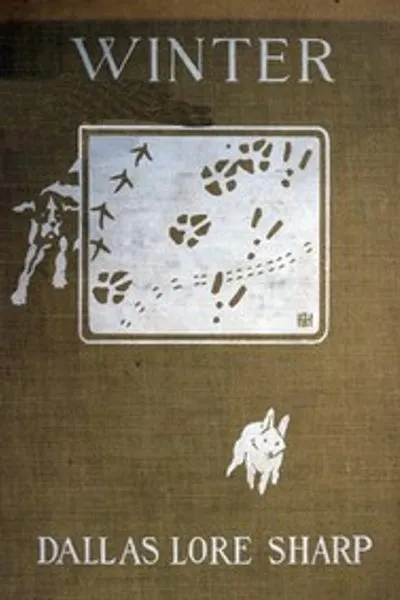 Обложка книги "Зима"