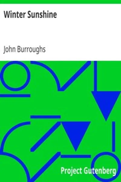 Обложка книги "Зимнее солнце"