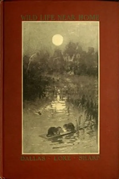 Обложка книги "Животный мир вокруг нас"
