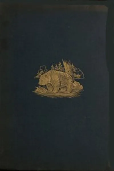 Обложка книги "Романтика леса"