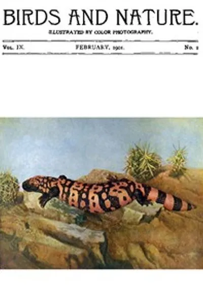 Обложка книги "Птицы и природа. Том 09, № 2 [февраль 1901]"