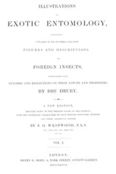 Обложка книги "Иллюстрации экзотической энтомологии, том 1"