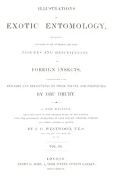 Обложка книги "Иллюстрации экзотической энтомологии, том 3"