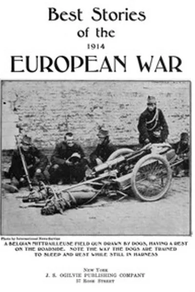 Обложка книги "Лучшие рассказы о европейской войне 1914 года"