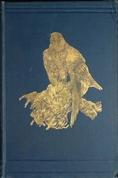 Обложка книги "Птичьи сказки"