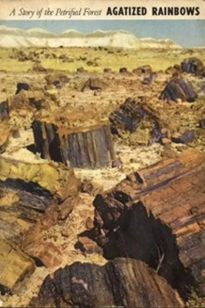 Обложка книги "Агатовые радуги: История Окаменевшего леса"