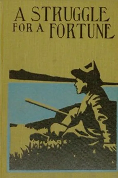 Обложка книги "Борьба за состояние"