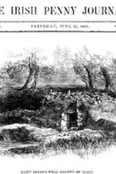 Обложка книги "Ирландский пенни журнал, том 1, № 51, 19 июня 1841 года"