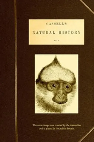 Обложка книги "Естественная история Касселя. Том 1 из 6"