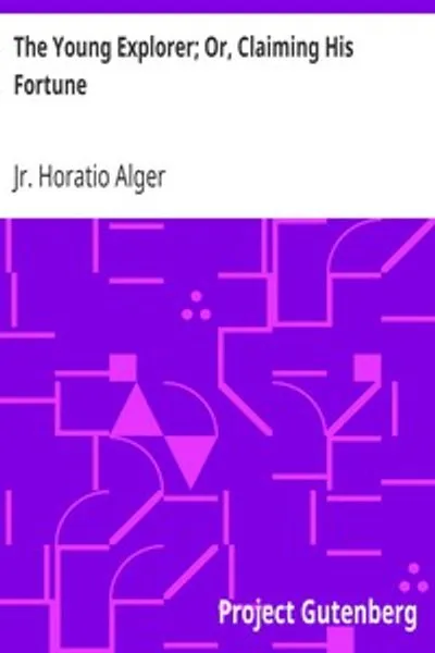 Обложка книги "Молодой исследователь, или Заявление о своём состоянии"