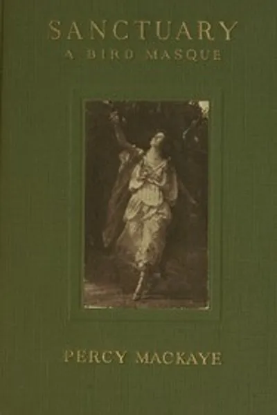 Обложка книги "Санктуарий: Маска птицы"