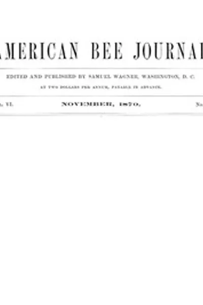Обложка книги "Американский пчеловодческий журнал, Том VI, № 5, ноябрь 1870"