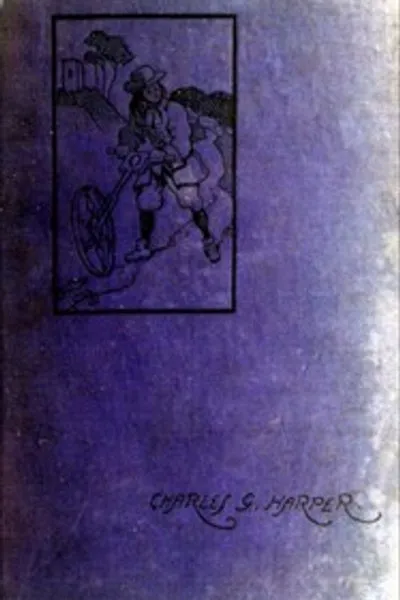 Обложка книги "Дорога Холихед: Почтовая карета в Дублин. Том 2"
