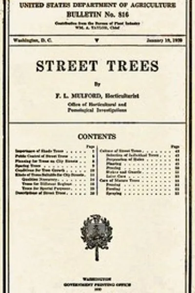 Обложка книги "Уличные деревья"