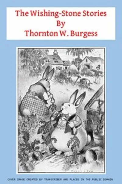 Обложка книги "Истории волшебного камня"