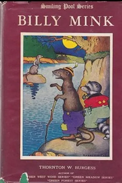 Обложка книги "Билли Минк"