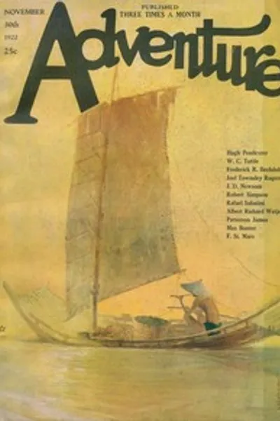Обложка книги "Пламя бури"