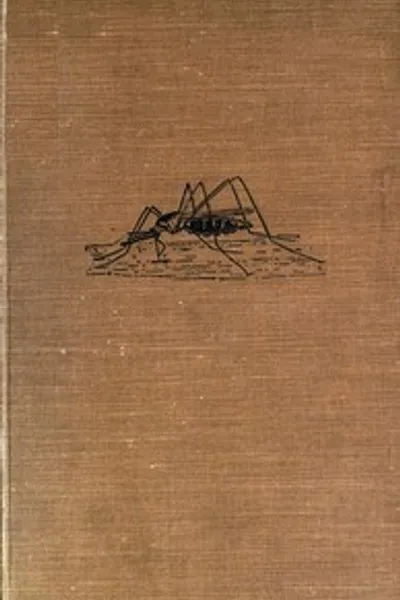 Обложка книги "Малые ужасы"