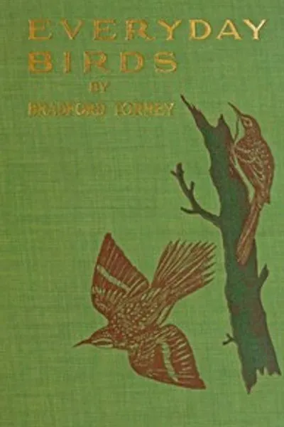 Обложка книги "Птицы в повседневной жизни: Начальные исследования"