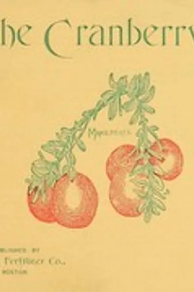Обложка книги "Клюква"