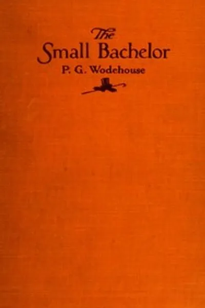 Обложка книги "Маленький холостяк"