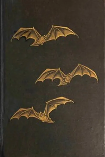 Обложка книги "Атташе в Пекине"