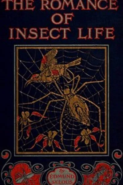 Обложка книги "Роман о жизни насекомых: интересные описания странного и любопытного в мире насекомых"