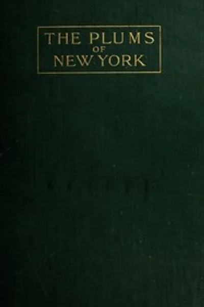 Обложка книги "Сливы Нью-Йорка"