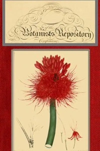 Обложка книги "Ботанический репозиторий для новых и редких растений; том 05 [из 10]"