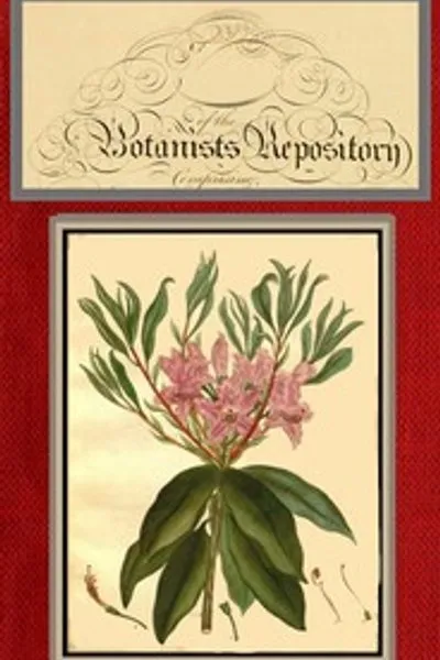 Обложка книги "Ботанический репозиторий для новых и редких растений; том 06 [из 10]"