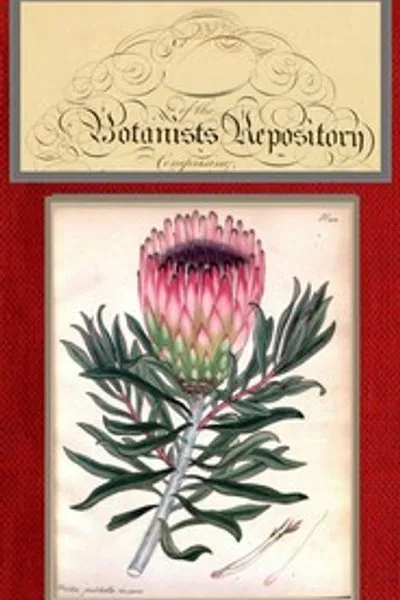 Обложка книги "Ботанический репозиторий для новых и редких растений; том 07 [из 10]"
