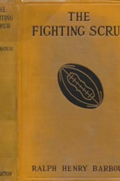 Обложка книги "Боевой отморозок"