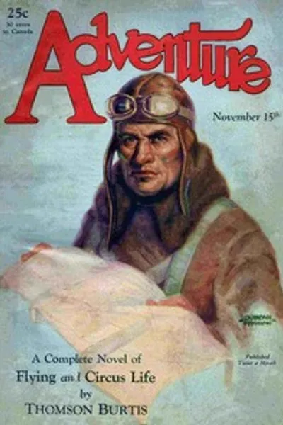 Обложка книги "Арктические ангелы"